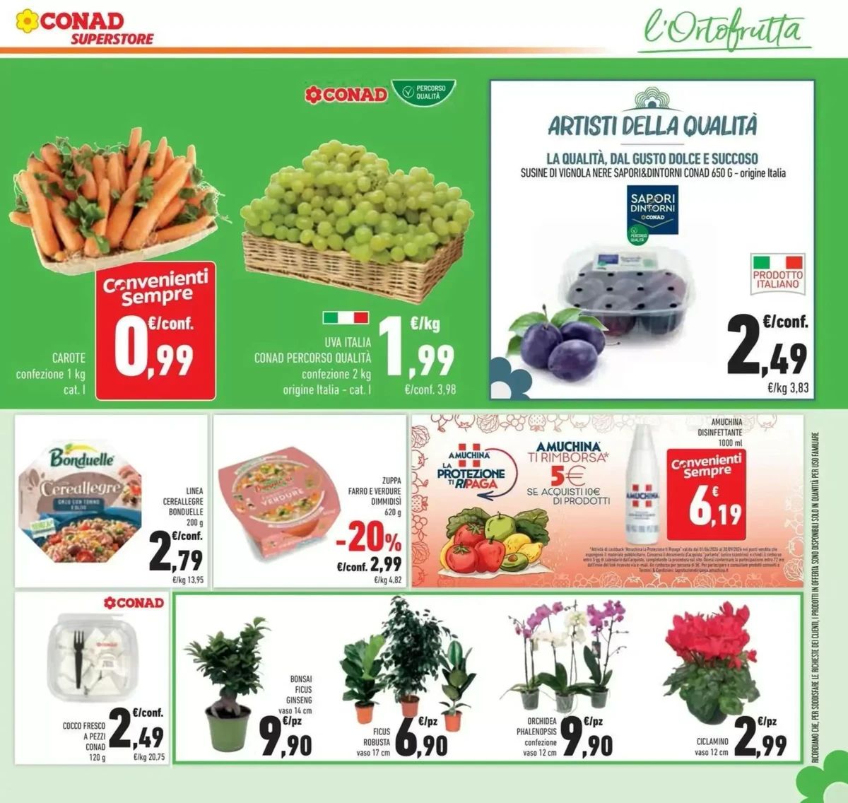 Volantino Conad, pagina 27 di 46