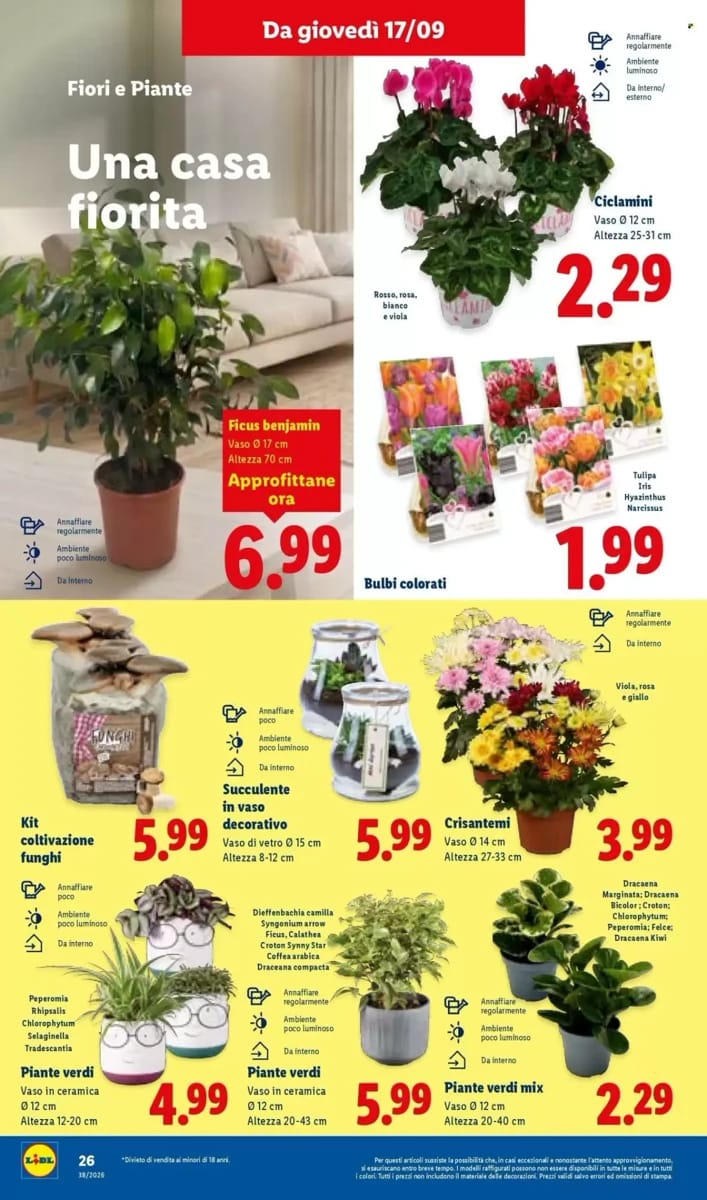 Volantino Lidl, pagina 32 di 51