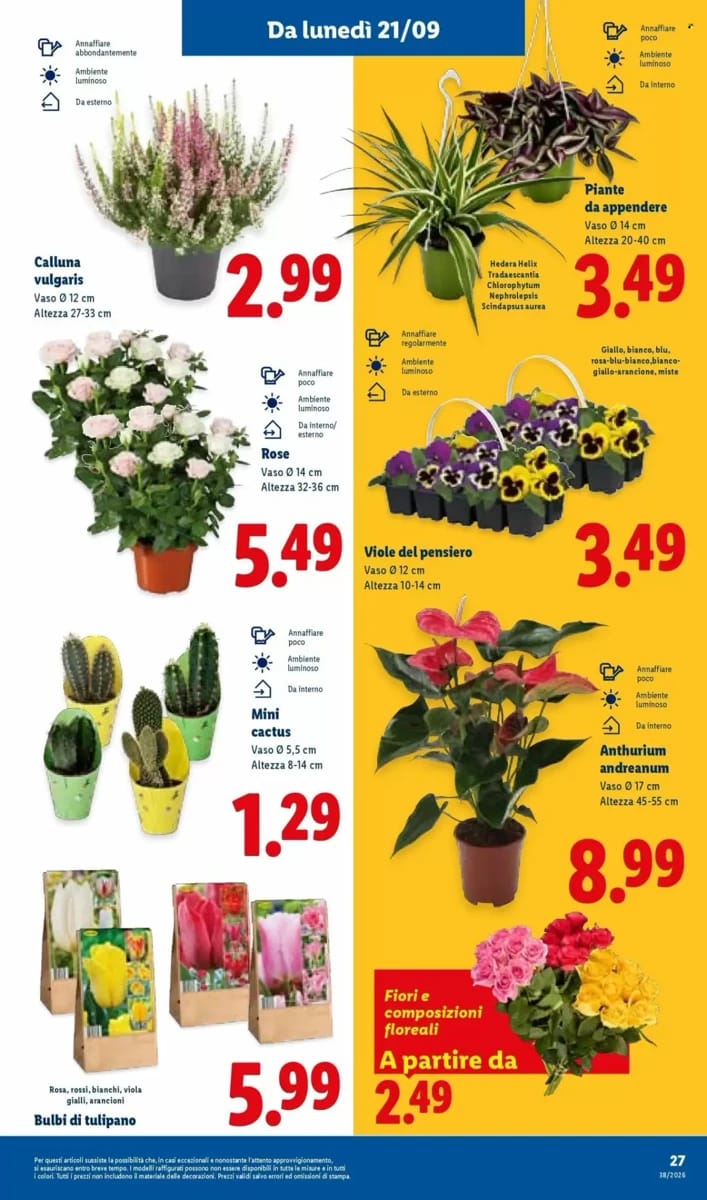 Volantino Lidl, pagina 33 di 51